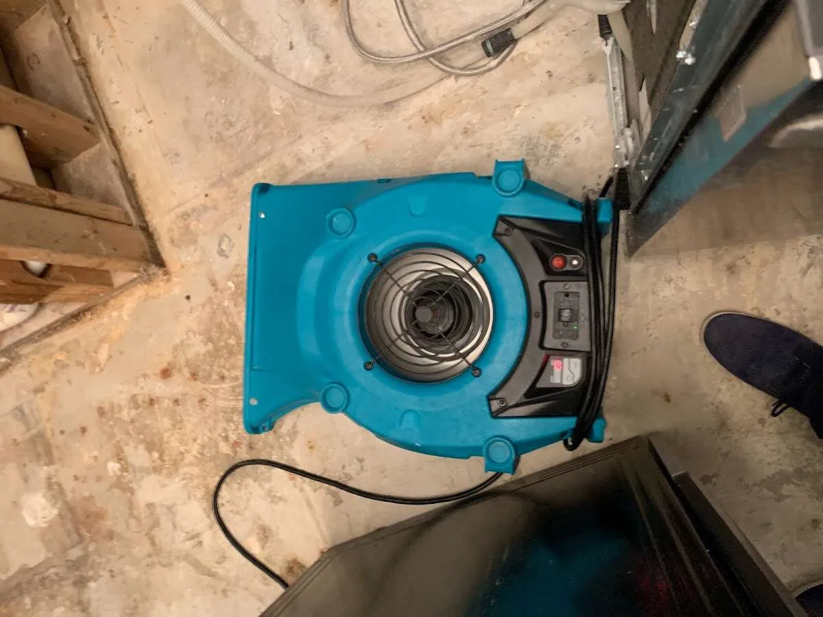 Air mover drying equipment for Mold Remediation & Removal in Lakewood